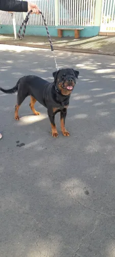 Doação