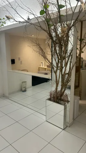 Móvel para recepção 