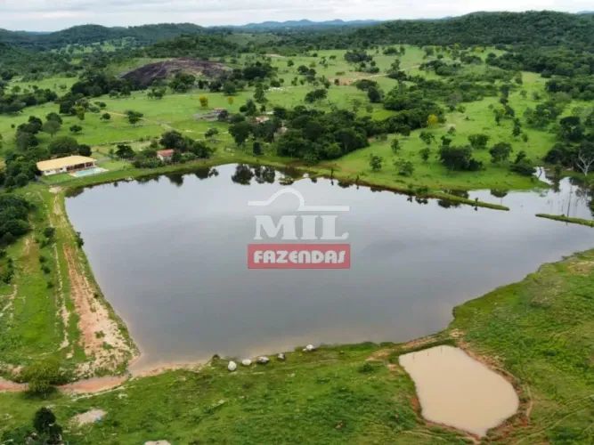 Fazenda 70 alqueires (338,8 hectares) Faina - GO