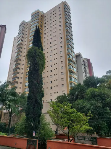 Pintor cordeiro