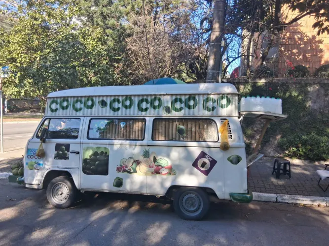 Volkswagen Kombi Standard/ Luxo/ Serie Prata 2005