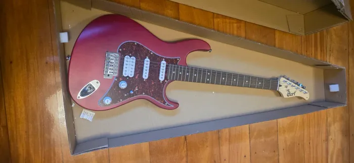 Guitarra Stratocaster cort g110