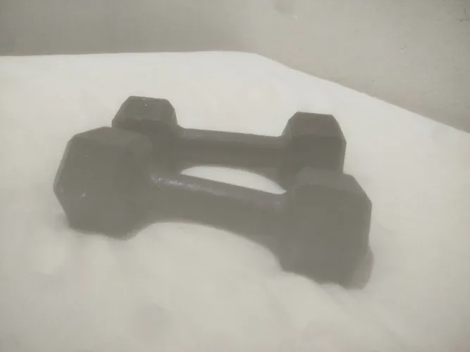 Peso de Academia 12 kg - Halter para Musculação e Treino em Casa