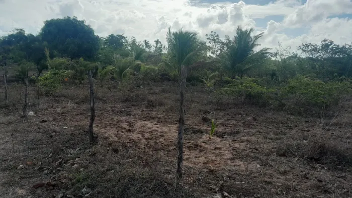 Terreno