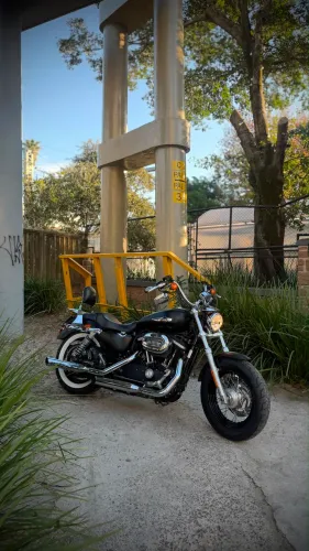 Harley Davidson XL1200 Custom