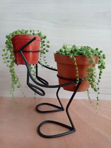 Suporte pra plantas