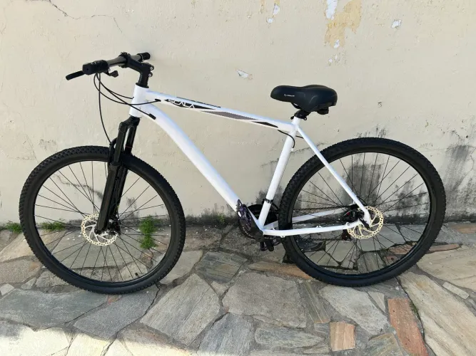 Bicicleta aro 29
