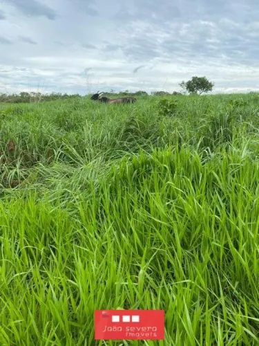 Fazenda para Venda em Palmas