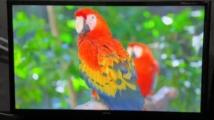 TV Samsung Smart 32 polegadas.