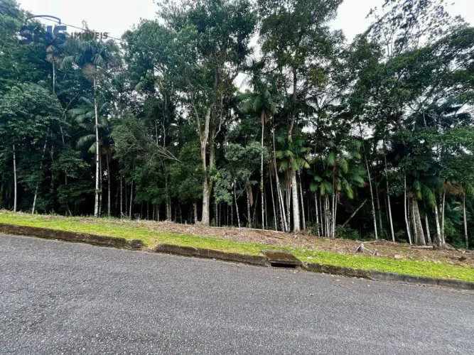 Terreno à venda, 765 m² por R$ 550.000,00 - Velha - Blumenau/SC