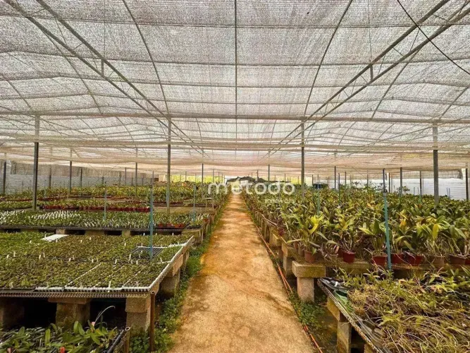 Sítio com 6 quartos à venda, 20000 m² por R$ 4.900.000 - Lambari - Guararema/SP