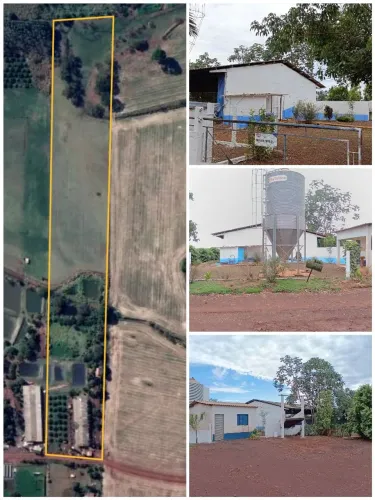 Sítio com granja de suíno a venda