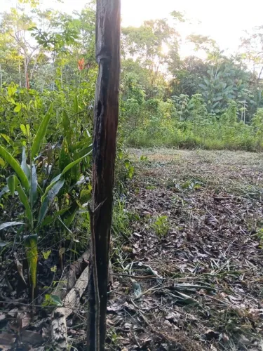 Terreno 3.000m² às margem do Rio Matapi