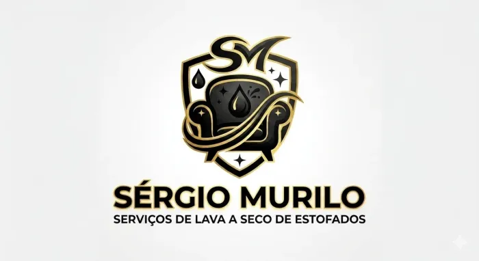 Lavavem a seco de estofados profissional 