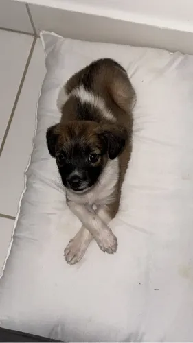 DOAÇÃO