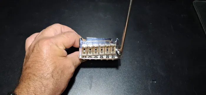 Tarraxas e ponte tremolo Tagima T635
