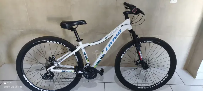 Lotus Angel (Aro 29) R$700,00