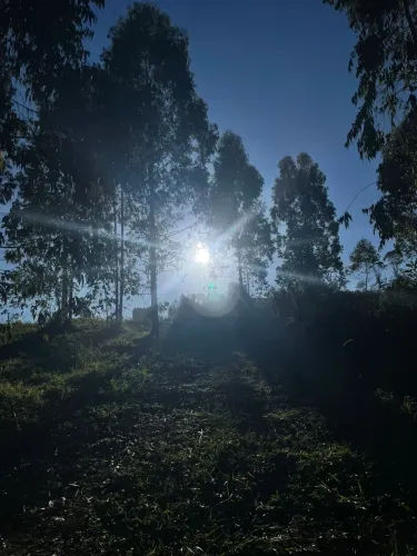 Terreno de chácara em Campo Largo - entrada a partir de 70mil com parcelas sem juros 