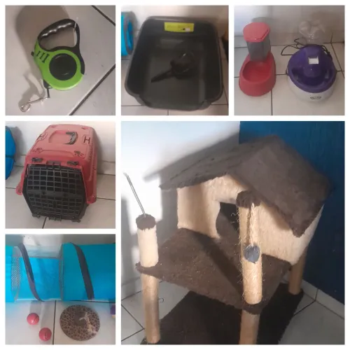Casinha, Arranhador, bebedouro e muito mais.