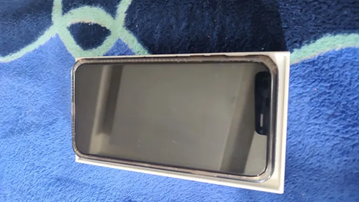iPhone 11, única dona