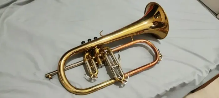 Flugelhorn Dolphin Sib