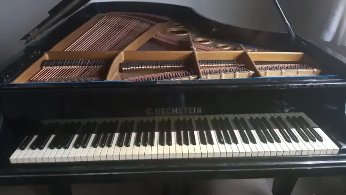 Piano de cauda marca alemã C. Bechstein
