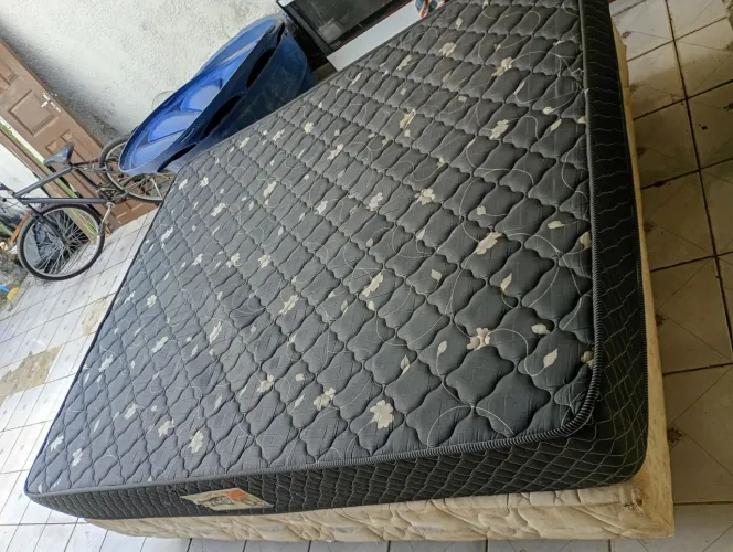 Cama Queen 550