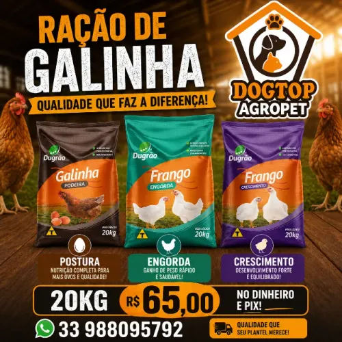 RAÇÃO DE GALINHA POSTURA, CRESCIMENTO E ENGORDA DE 20KG