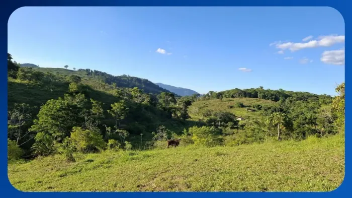 GLEBA DE TERRAS - Conjunto Belo Horizonte, Zona da Palmeira, Aiquara/BA, Área de 201,00 he