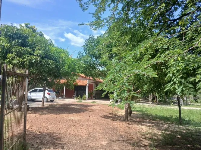 Vende sítio localidade coroatá ( estrada de josé de Freitas)