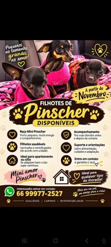 PINCHER