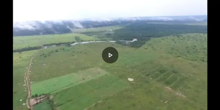 Fazenda no Pará,na Pa, 150 sul do Pará 420 alqueires por 161 mil reais o alqueire pronta