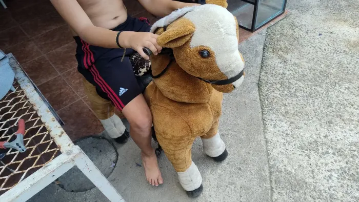 Cavalinho infantil ,Ufree horse.