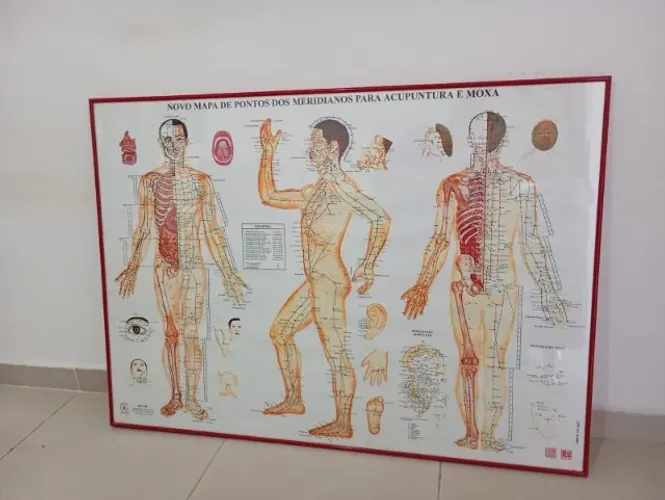 Quadro completo com mapas de acupuntura. RETIRAR NO CENTRO