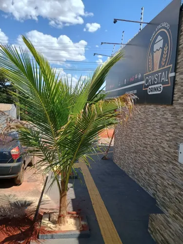 Pe de coco 