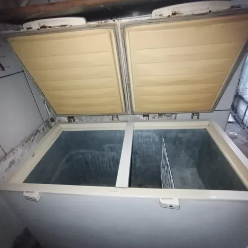 Freezer horizontal