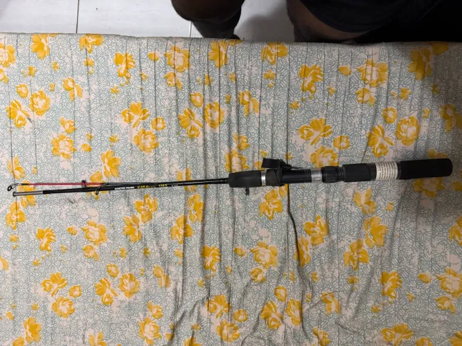 Cara de pesca 60 cm