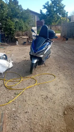 Honda Pcx Sem Papo De Liso *