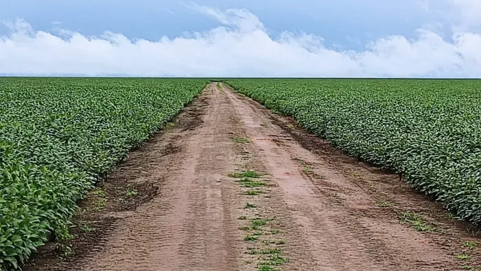 SÃO FÉLIX DE BALSAS - 23.000 HECTARES