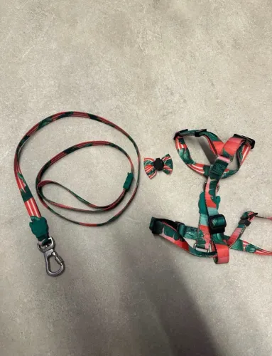 Zeedog guia e peitoral H com gravata estampado Bali perfeito estado