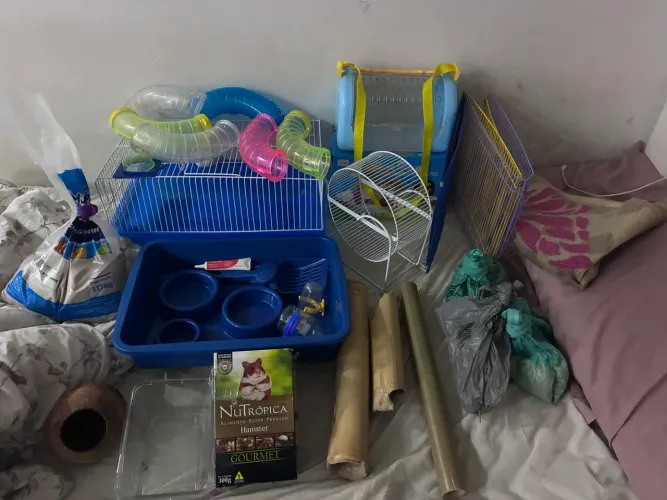 Acessórios de gerbil