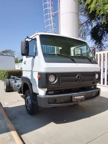 VW Delivery 8.160 2013