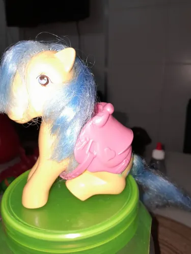 Meu querido ponei