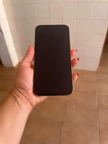 iPhone 13 Pro Max - 128G