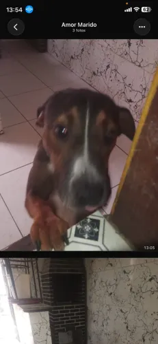 Doação