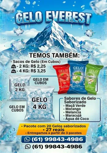 Gelo Cubo & Gelo Saborizados 