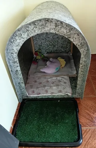 Vendo como kit Casinha+banheiro pet+ comedouro de ração.