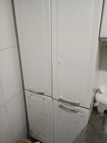 Vendo armário de cozinha aço 3 portas e um paneleiro juntos 
