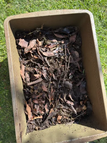 Adubo Compostagem