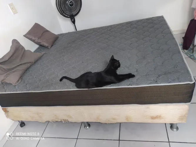 Cama Queen